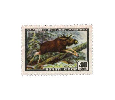  8 почтовых марок «Фауна» СССР 1957, фото 2 