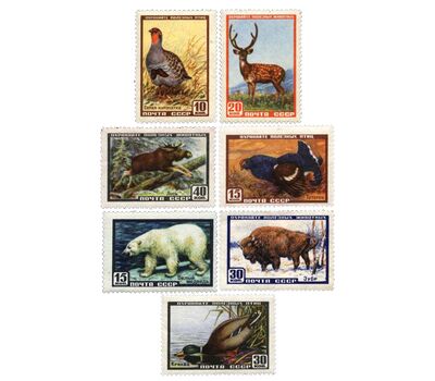  8 почтовых марок «Фауна» СССР 1957, фото 1 