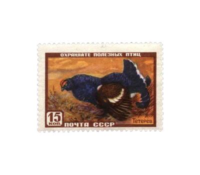  8 почтовых марок «Фауна» СССР 1957, фото 4 