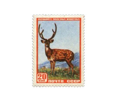 8 почтовых марок «Фауна» СССР 1957, фото 6 