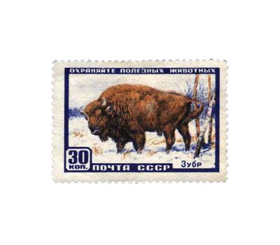  8 почтовых марок «Фауна» СССР 1957, фото 7 