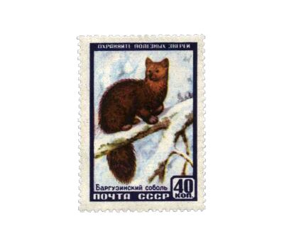  8 почтовых марок «Фауна» СССР 1957, фото 9 
