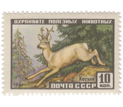  3 почтовые марки «Фауна» СССР 1961, фото 2 