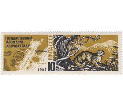  Почтовая марка «Заповедник «Кедровая падь» СССР 1967, фото 1 