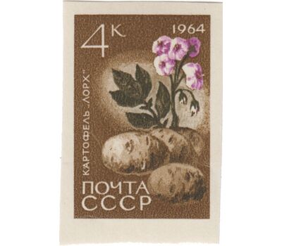  7 почтовых марок «Сельскохозяйственные культуры» СССР 1964 (без перфорации), фото 5 