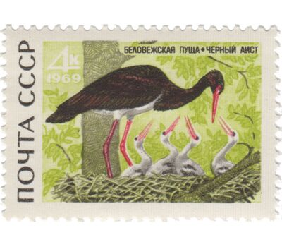  5 почтовых марок «Беловежская пуща» СССР 1969, фото 2 