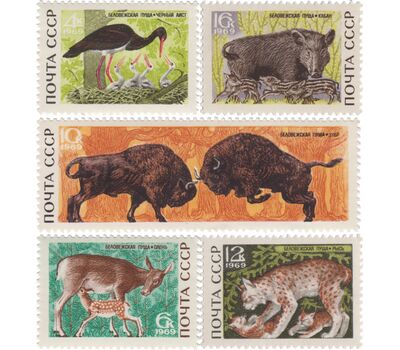  5 почтовых марок «Беловежская пуща» СССР 1969, фото 1 