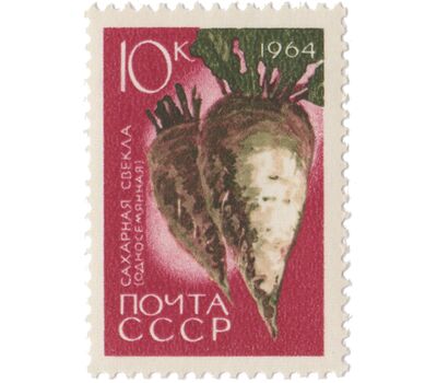  7 почтовых марок «Сельскохозяйственные культуры» СССР 1964, фото 4 