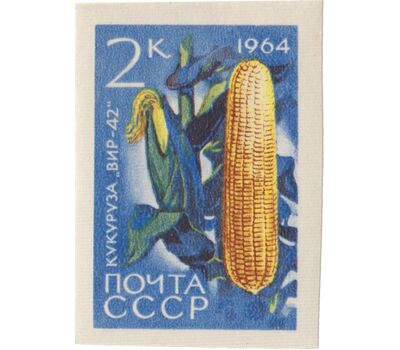  7 почтовых марок «Сельскохозяйственные культуры» СССР 1964 (без перфорации), фото 8 