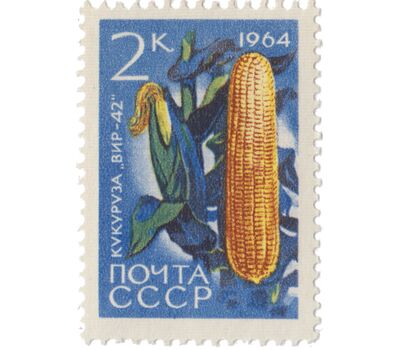  7 почтовых марок «Сельскохозяйственные культуры» СССР 1964, фото 5 