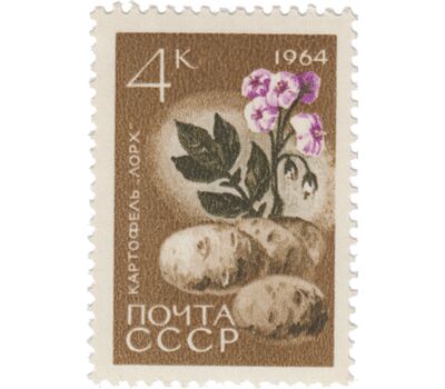  7 почтовых марок «Сельскохозяйственные культуры» СССР 1964, фото 7 