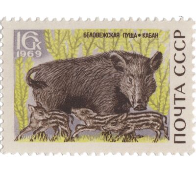  5 почтовых марок «Беловежская пуща» СССР 1969, фото 5 