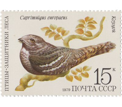  5 почтовых марок «Птицы — защитники леса» СССР 1979, фото 2 