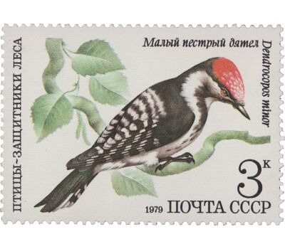  5 почтовых марок «Птицы — защитники леса» СССР 1979, фото 3 