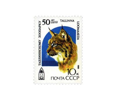  Почтовая марка «50 лет Таллинскому зоопарку» СССР 1989, фото 1 