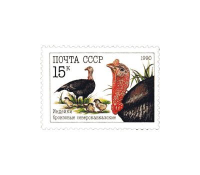  3 почтовые марки «Домашние птицы» СССР 1990, фото 4 