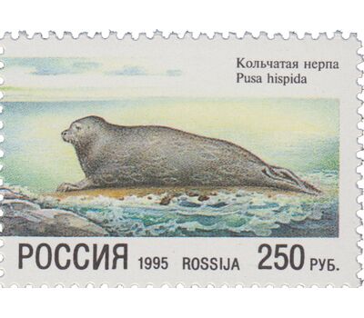  Сцепка «Природа. Совместный выпуск России и Финляндии» 1995, фото 3 
