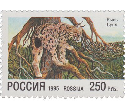  Сцепка «Природа. Совместный выпуск России и Финляндии» 1995, фото 4 