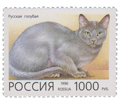  5 почтовых марок «Домашние кошки» 1996, фото 6 