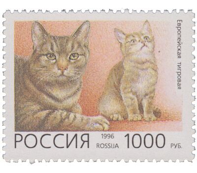  5 почтовых марок «Домашние кошки» 1996, фото 2 
