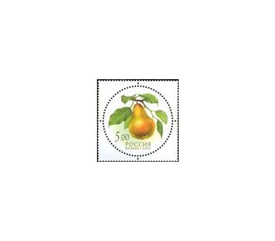  5 почтовых марок «Дары природы» 2003, фото 3 