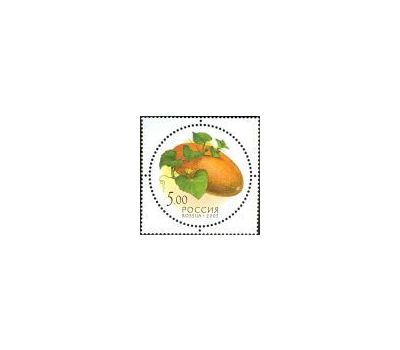  5 почтовых марок «Дары природы» 2003, фото 4 