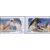 2 почтовые марки «Совместный выпуск России и КНДР. Птицы» 2014, фото 1 